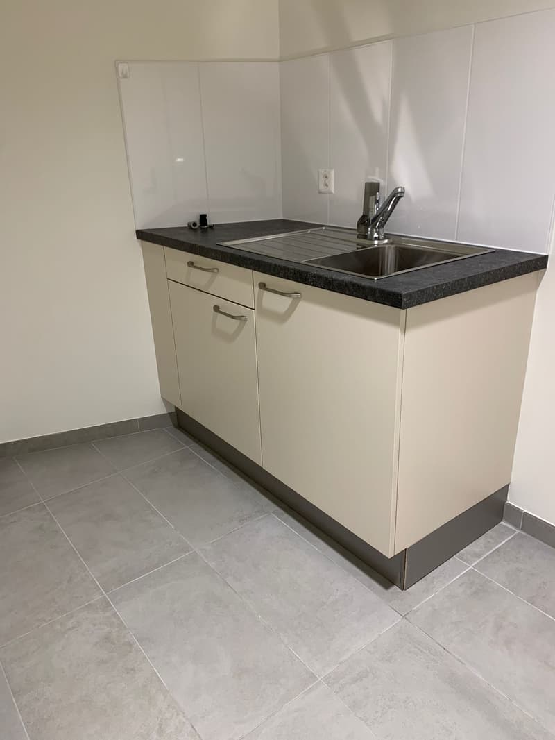 Locaux spacieux, rénovés, avec monte-charge. Surface idéale pour exposition - vente - bureaux (9)