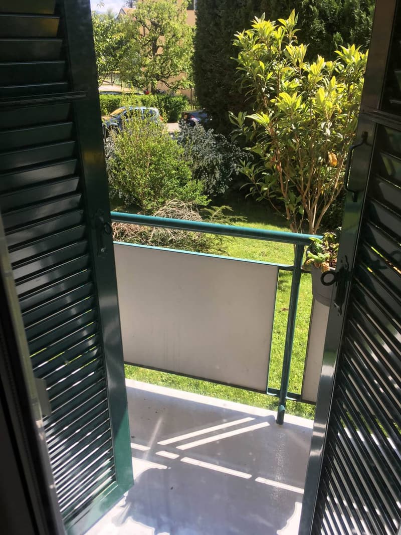 Ein-Zimmer-Wohnung mit Flur und Balkon (4)