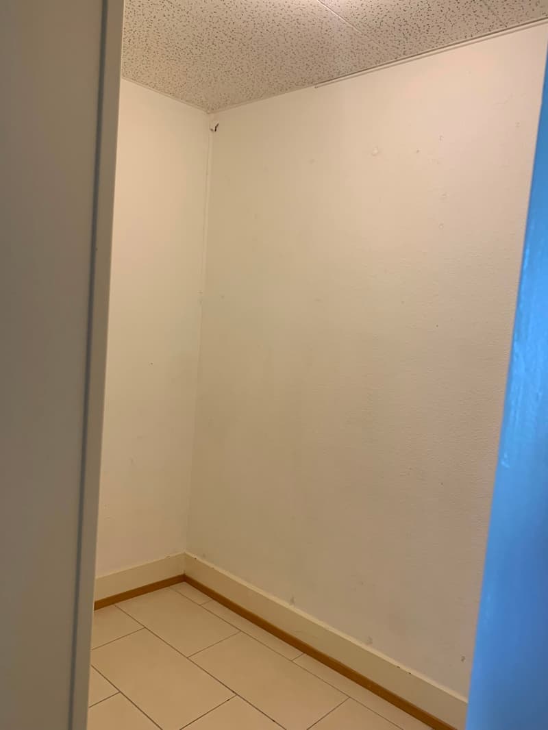 Sehr schönes Apartment mit viel Charme, geräumig und hell mit einer schönen Aussicht auf den See (3)