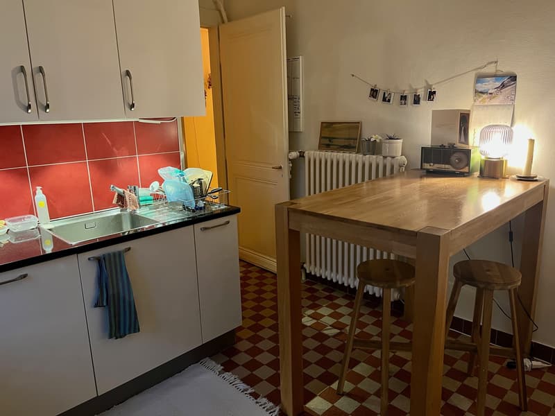 Charming 3-room apartment with balcony and access to the garden. (4)