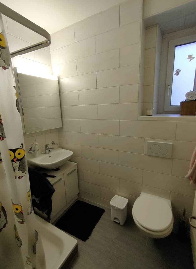Charming 3-room apartment with balcony and access to the garden. (6)