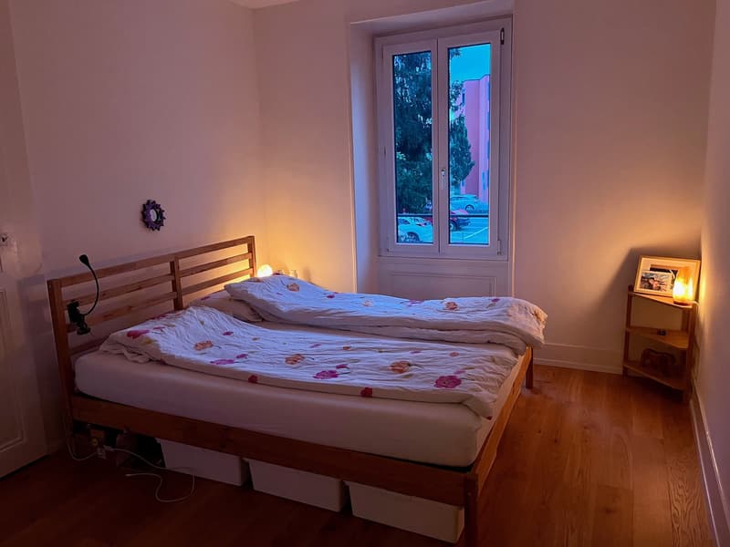 Charming 3-room apartment with balcony and access to the garden. (5)
