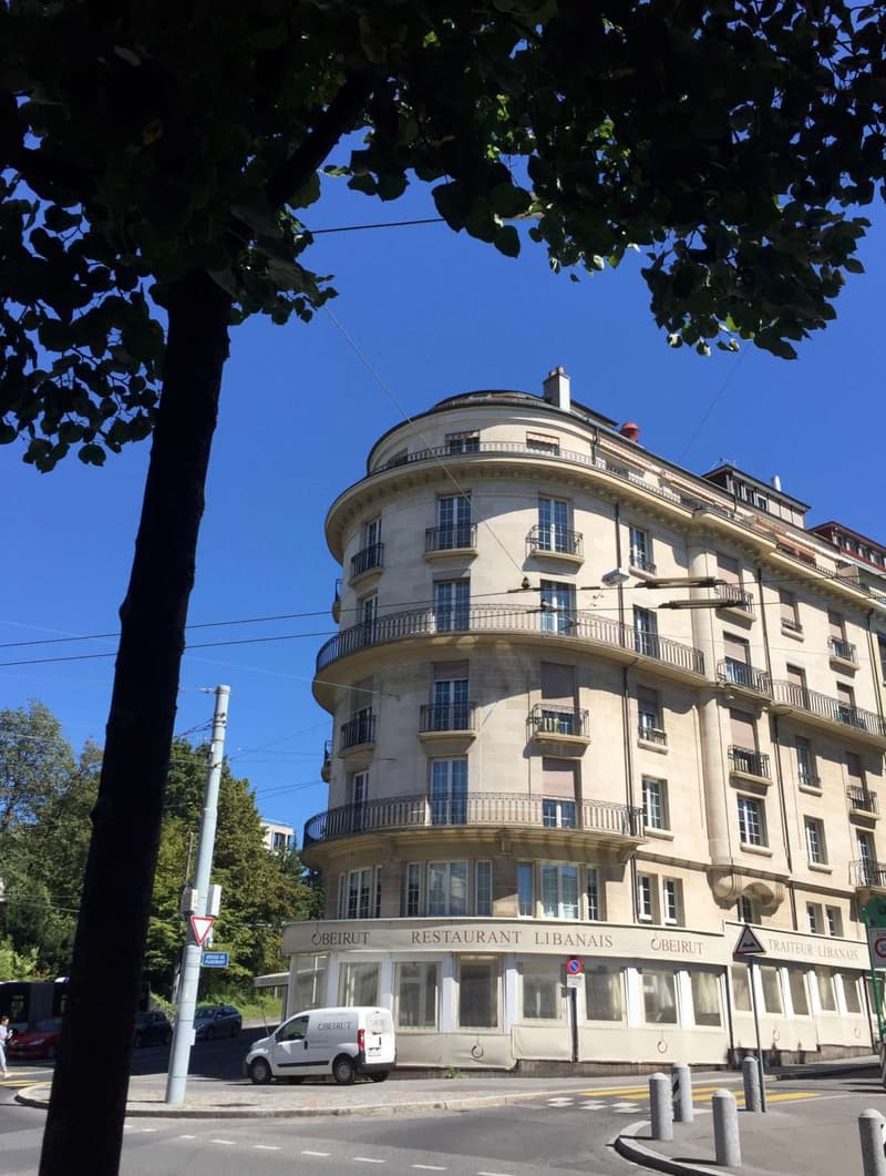 Très bel appartement avec beaucoup de cachet, spacieux et lumineux bénéficiant d'une belle échappée sur le lac (1)