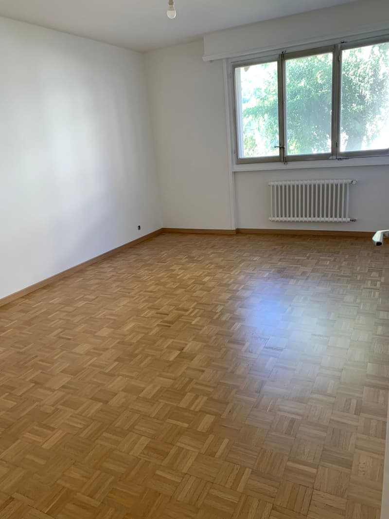 Agréable et lumineux logement en cours de rénovation, idéal pour une famille, (8)