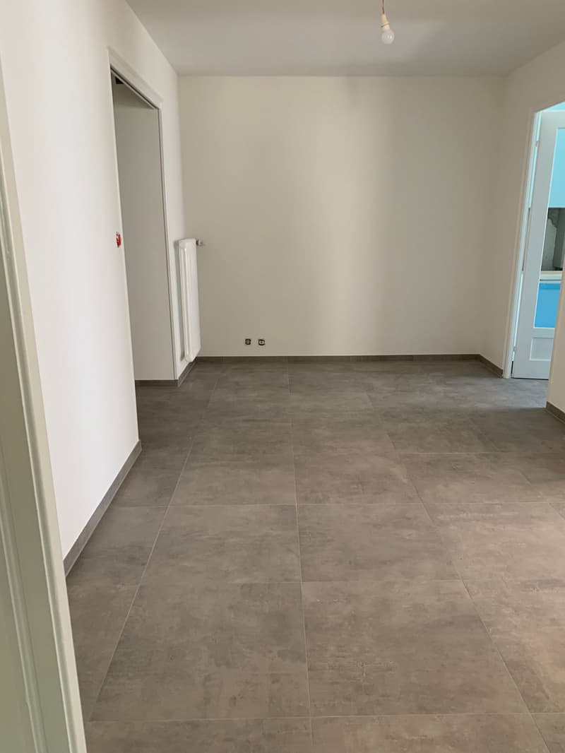 Agréable et lumineux logement en cours de rénovation, idéal pour une famille, (2)