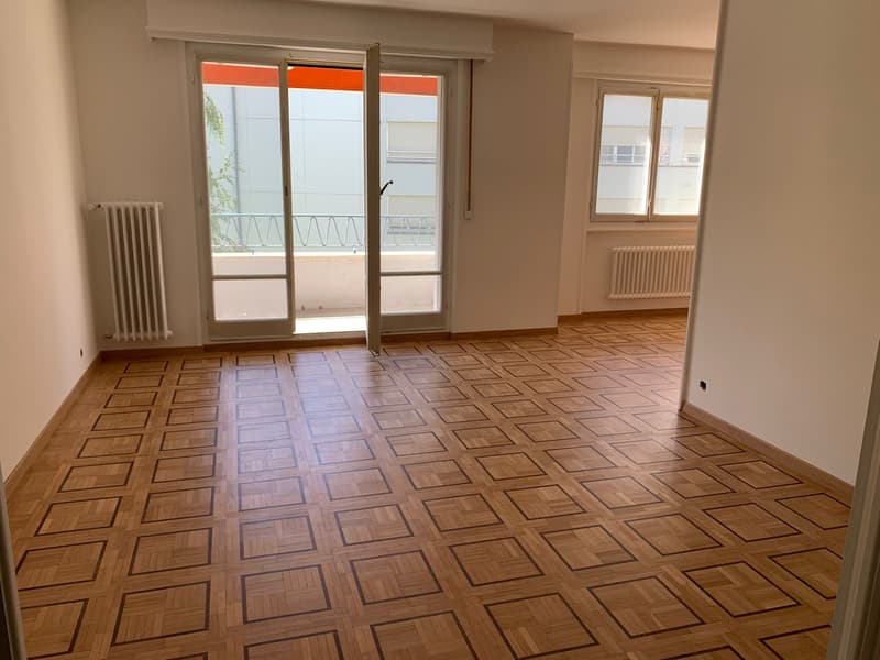Agréable et lumineux logement en cours de rénovation, idéal pour une famille, (4)