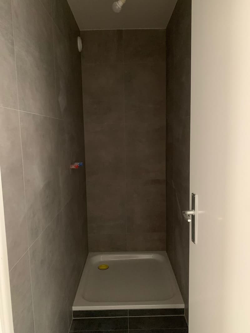 Agréable et lumineux logement en cours de rénovation, idéal pour une famille, (10)