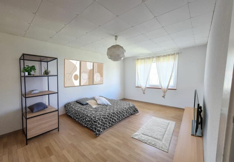 6.5-room duplex apartment in the heart of Moiry (4)
