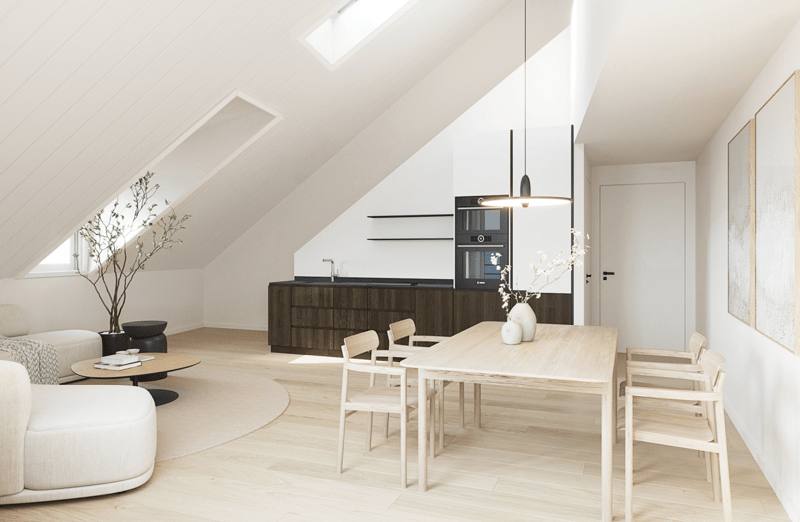 Grands lofts en duplex au coeur de Moiry (2)