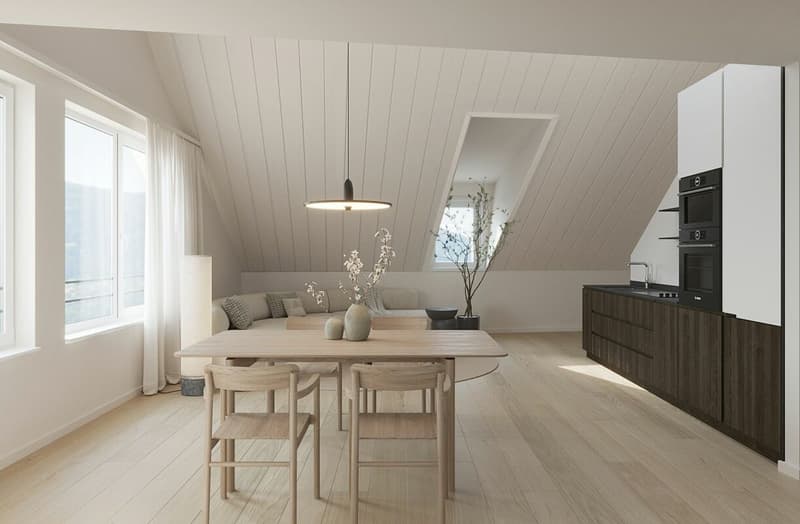Grands lofts en duplex au coeur de Moiry (3)