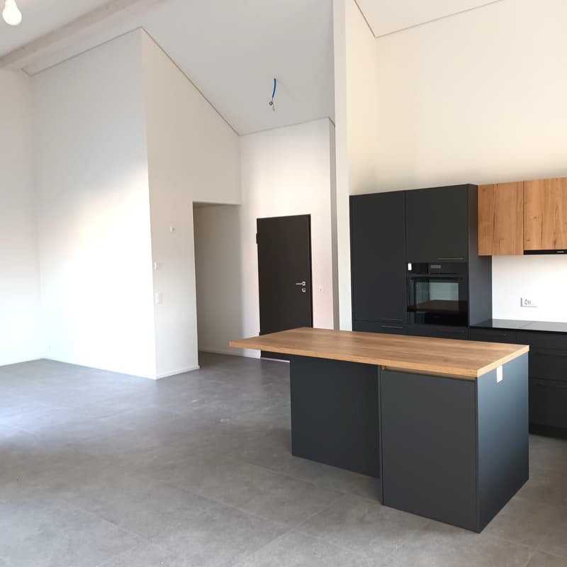 Prachtiges neues Attikapartment mit 4.5 Zimmern und Seeblick bis zum Horizont (3)