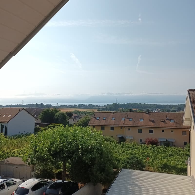Prachtiges neues Attikapartment mit 4.5 Zimmern und Seeblick bis zum Horizont (2)