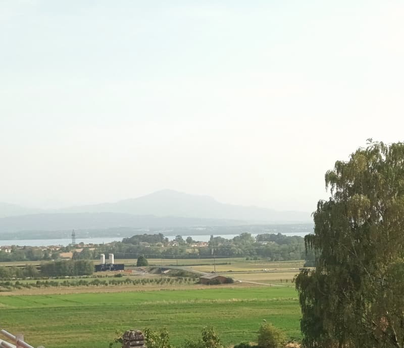 Appartement attique neuf de 4.5 pièces avec vue lac à l'horizon (2)