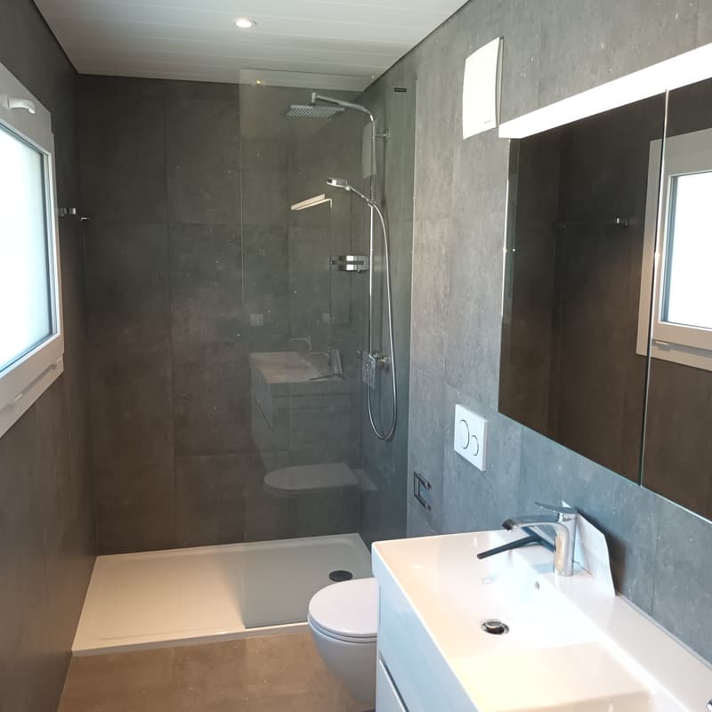 Prachtiges neues Attikapartment mit 4.5 Zimmern und Seeblick bis zum Horizont (5)