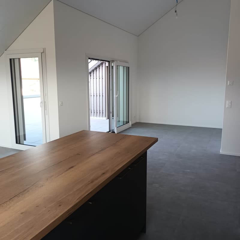 Appartement attique neuf de 4.5 pièces avec vue lac à l'horizon (5)