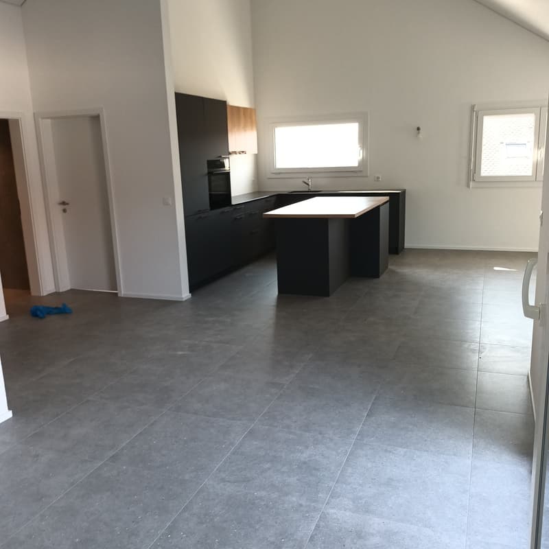 Appartement attique neuf de 4.5 pièces avec vue lac à l'horizon (4)