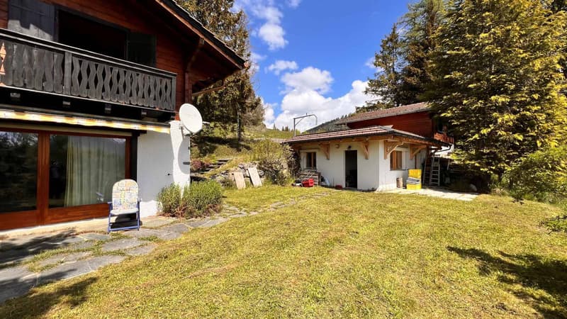 BEAUTIFUL 5-ROOM CHALET WITH A DEPENDENCY AND 2 CLOSED GARAGES (11)
