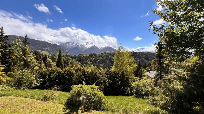 BEAUTIFUL 5-ROOM CHALET WITH A DEPENDENCY AND 2 CLOSED GARAGES (2)