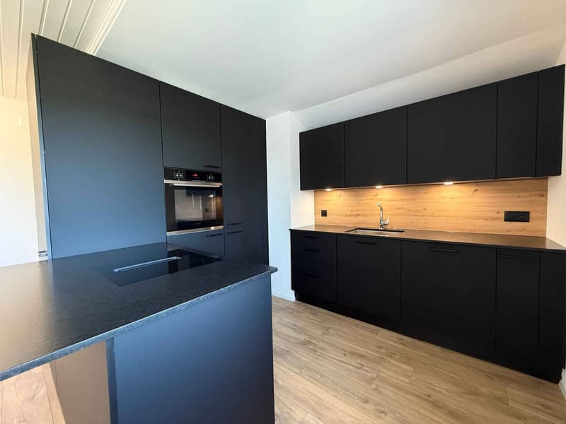 Rénovation totale, magnifique appartement situé dans les combles (type loft) (2)