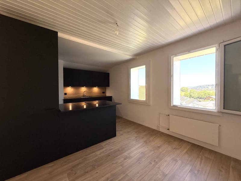 Rénovation totale, magnifique appartement situé dans les combles (type loft) (4)