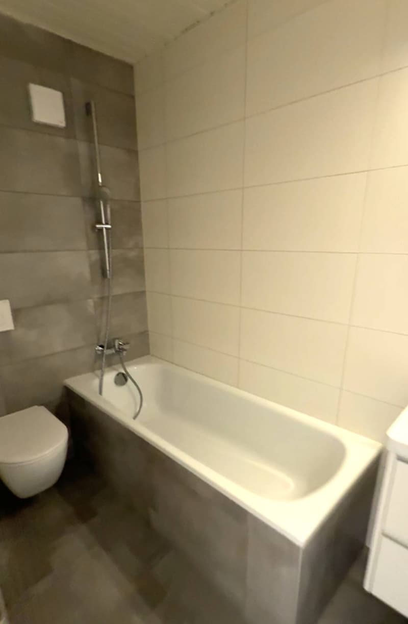 Rénovation totale, magnifique appartement situé dans les combles (type loft) (9)