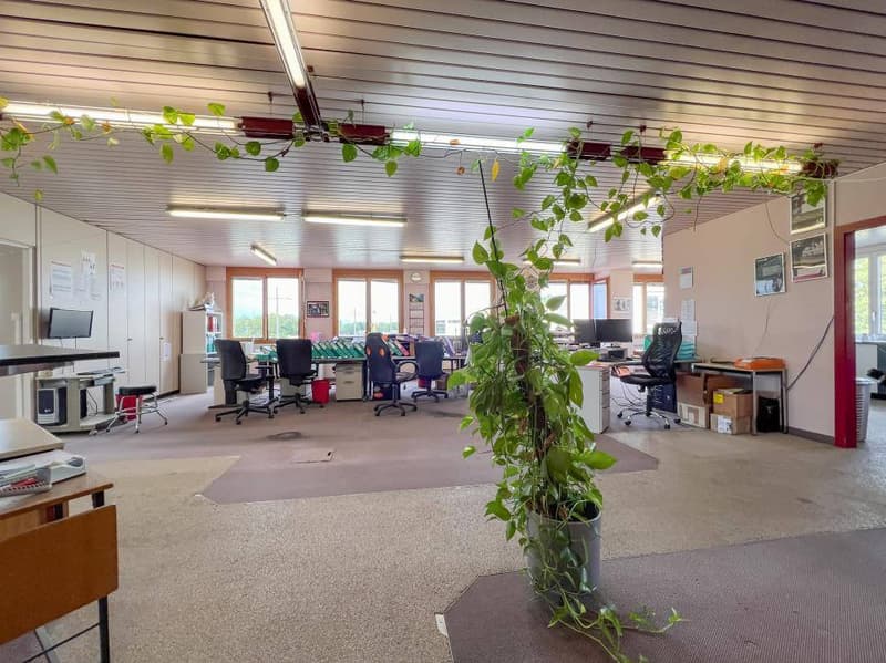 Administrative/Office 425.5 m2 in Morges (12)