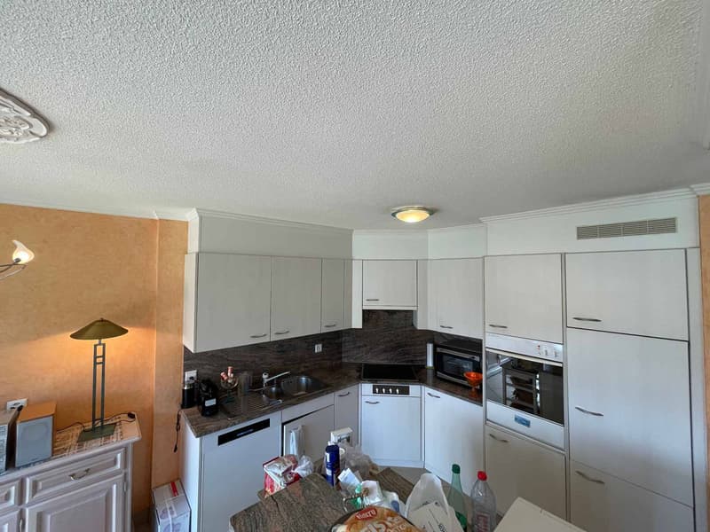 AMPIO E LUMINOSO APPARTAMENTO DI 3,5 LOCALI DI 98M2 CON AMPIA TERRAZZA DI 16M2 - VISTA SUL LAGO E LE MONTAGNE - ZONA PARTICOLARMENTE TRANQUILLA E VERDE (7)