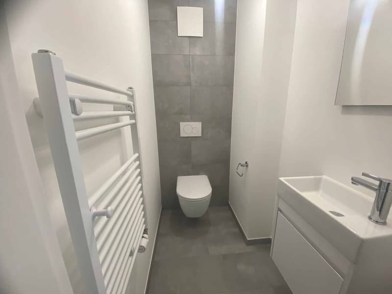 Total renovation, beautiful new apartment located on the 1st floor (6)