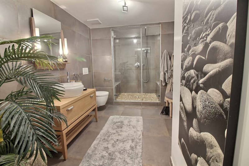 2.5 room apartment with private garden in Lausanne (3)