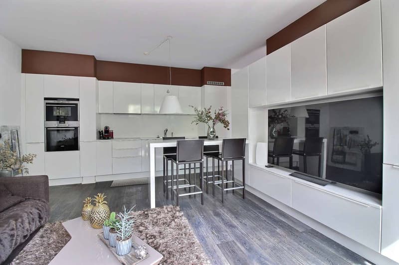 2.5 room apartment with private garden in Lausanne (2)