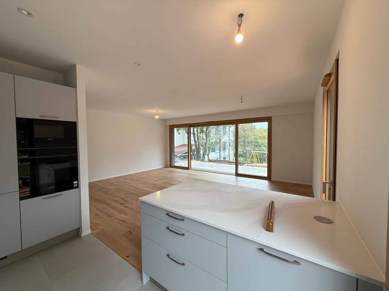 Derniers lots - Maison de ville neuve dans parc arboré (3)