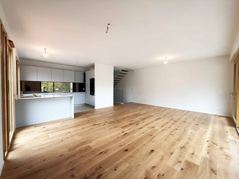 Derniers lots - Maison de ville neuve dans parc arboré (2)