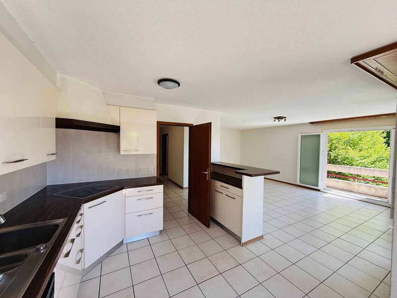 Wohnung mit 5.5 Zimmern und großer Terrasse in einer grünen Umgebung (3)