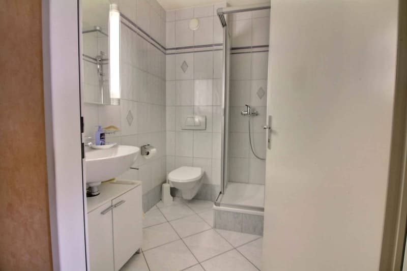 Geräumige 3,5-Zimmer-Wohnung von 98m2 mit großer Terrasse (5)