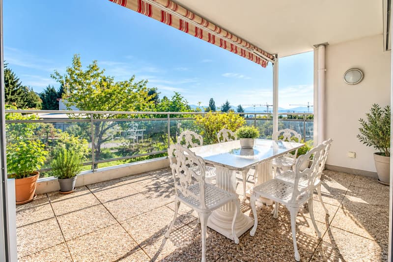 Bel appartement avec terrasse (4)