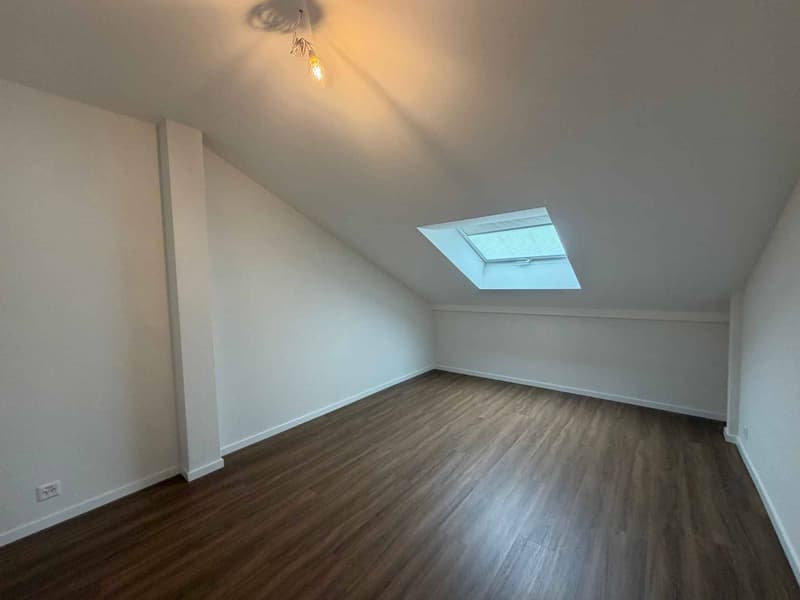 Magnificent fully renovated accommodation in a quiet and residential area (4)