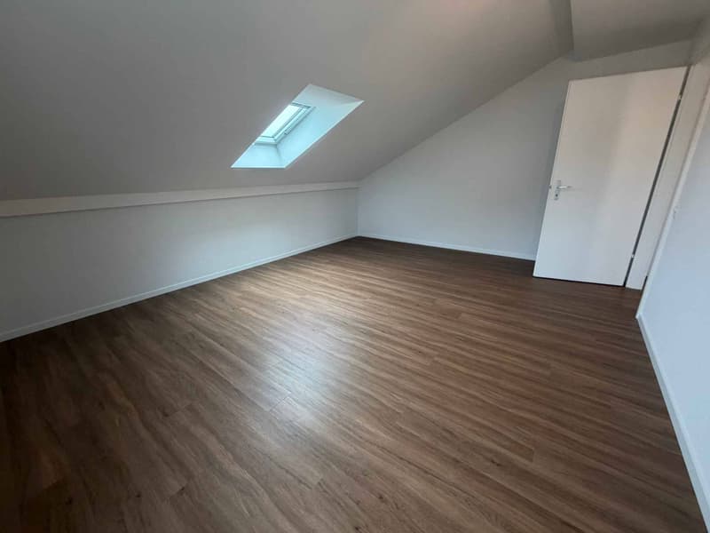 Magnificent fully renovated accommodation in a quiet and residential area (2)