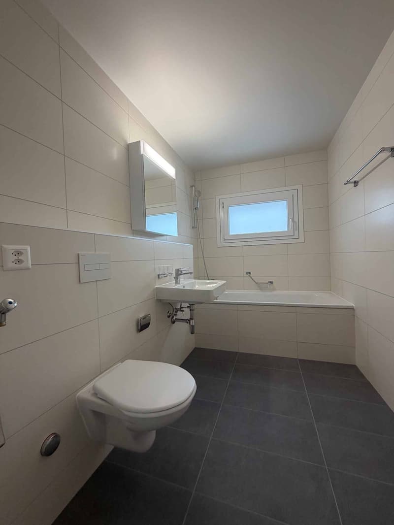 Magnificent fully renovated accommodation in a quiet and residential area (3)