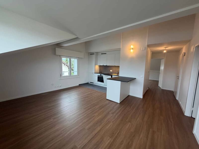 Magnificent fully renovated accommodation in a quiet and residential area (5)