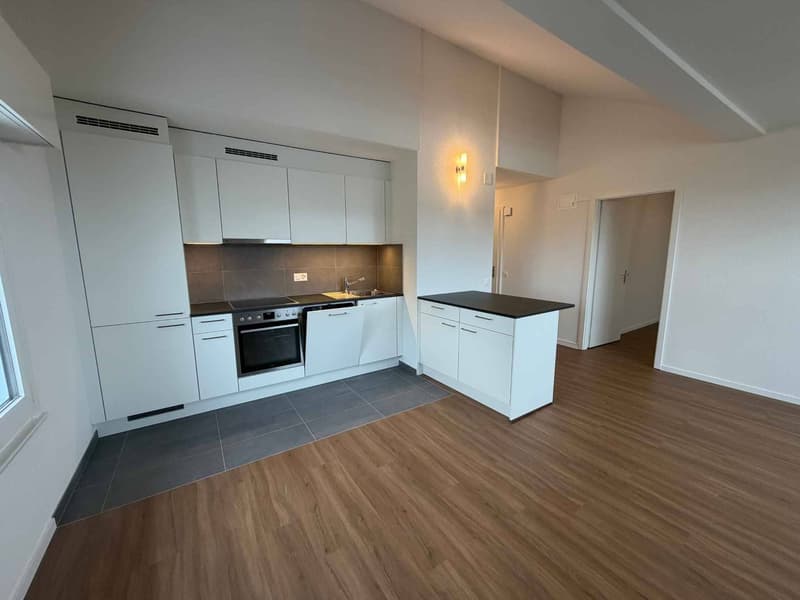 Magnificent fully renovated accommodation in a quiet and residential area (6)
