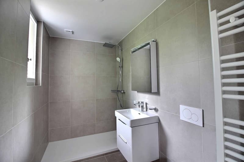 Schönes vollständig renoviertes Apartment mit atemberaubendem Blick auf den See (5)