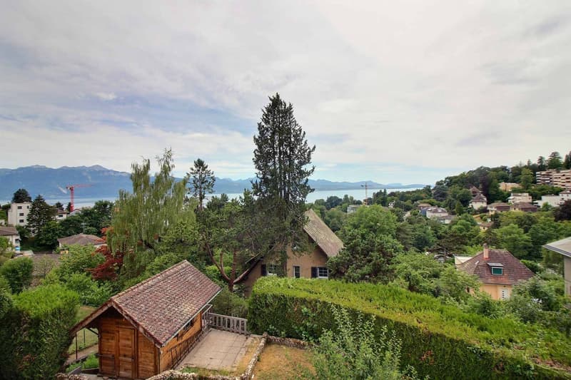Schönes vollständig renoviertes Apartment mit atemberaubendem Blick auf den See (7)