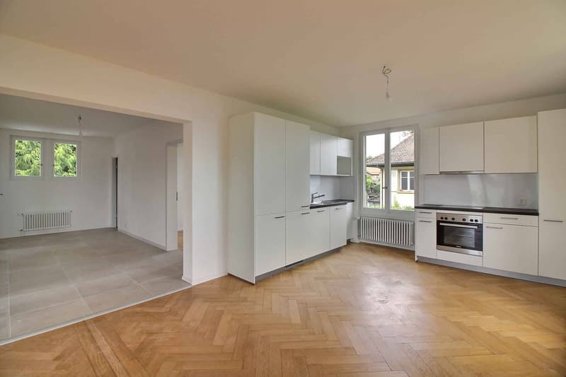 Schönes vollständig renoviertes Apartment mit atemberaubendem Blick auf den See (2)