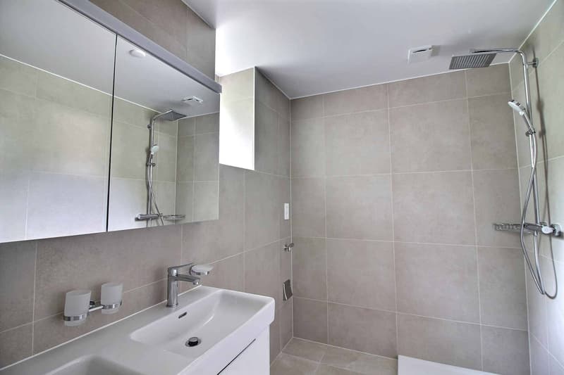 Prächtige Dachgeschoßwohnung, komplett renoviert mit atemberaubendem Blick auf den See (8)
