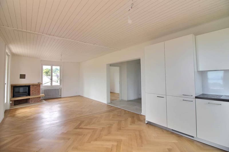 Prächtige Dachgeschoßwohnung, komplett renoviert mit atemberaubendem Blick auf den See (4)