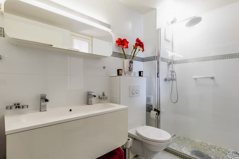 Duplex en rez-de-jardin avec vue lac (11)