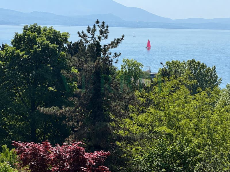 Appartement de prestige au coeur d'Ouchy, Lausanne (8)