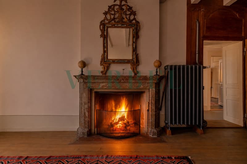 Maison de Maître au coeur d'Orbe - Résidence & patrimoine (9)