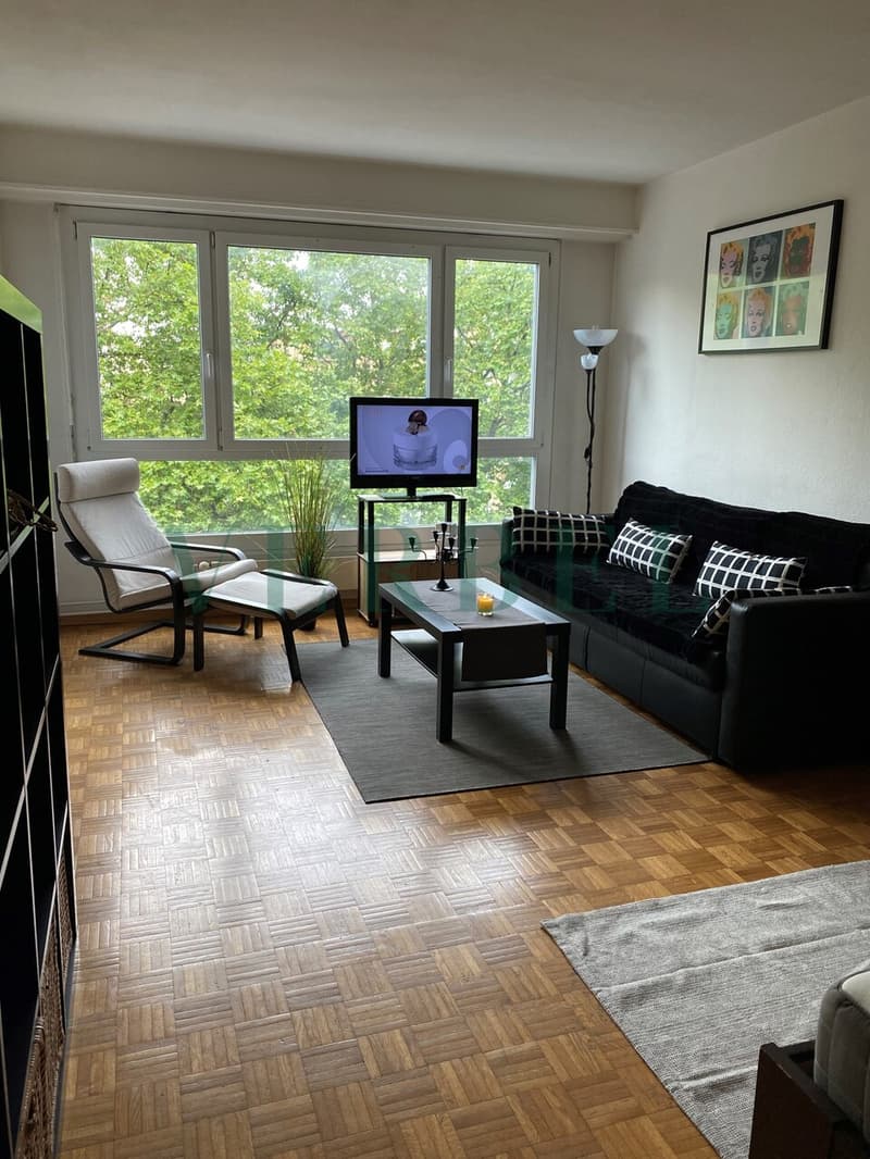 À louer - Studio meublé de 1,5 pièce à Genève (1)
