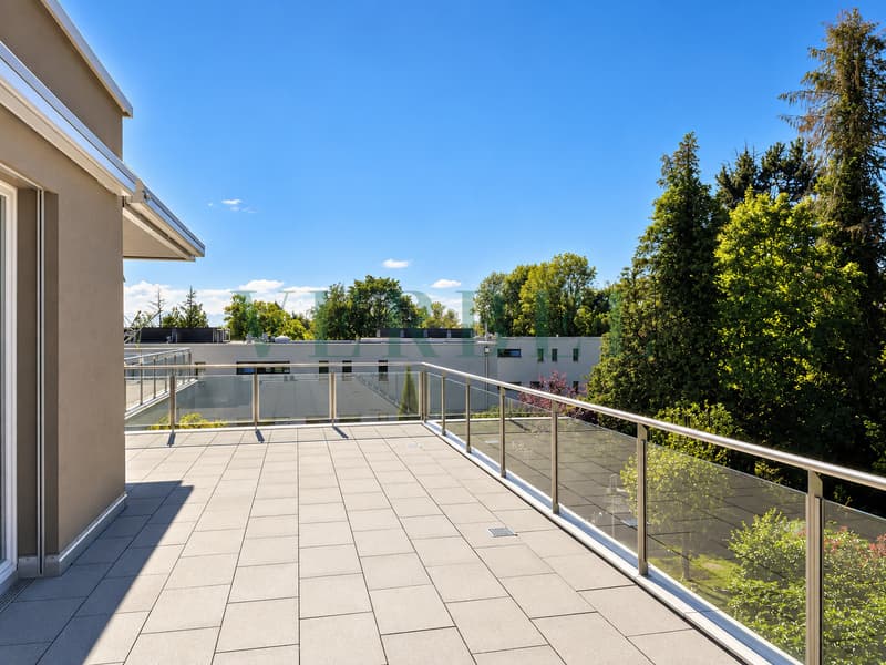 Attique lumineux avec magnifique terrasse (5)